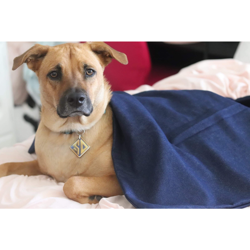 Sensory goods weighted blanket sale